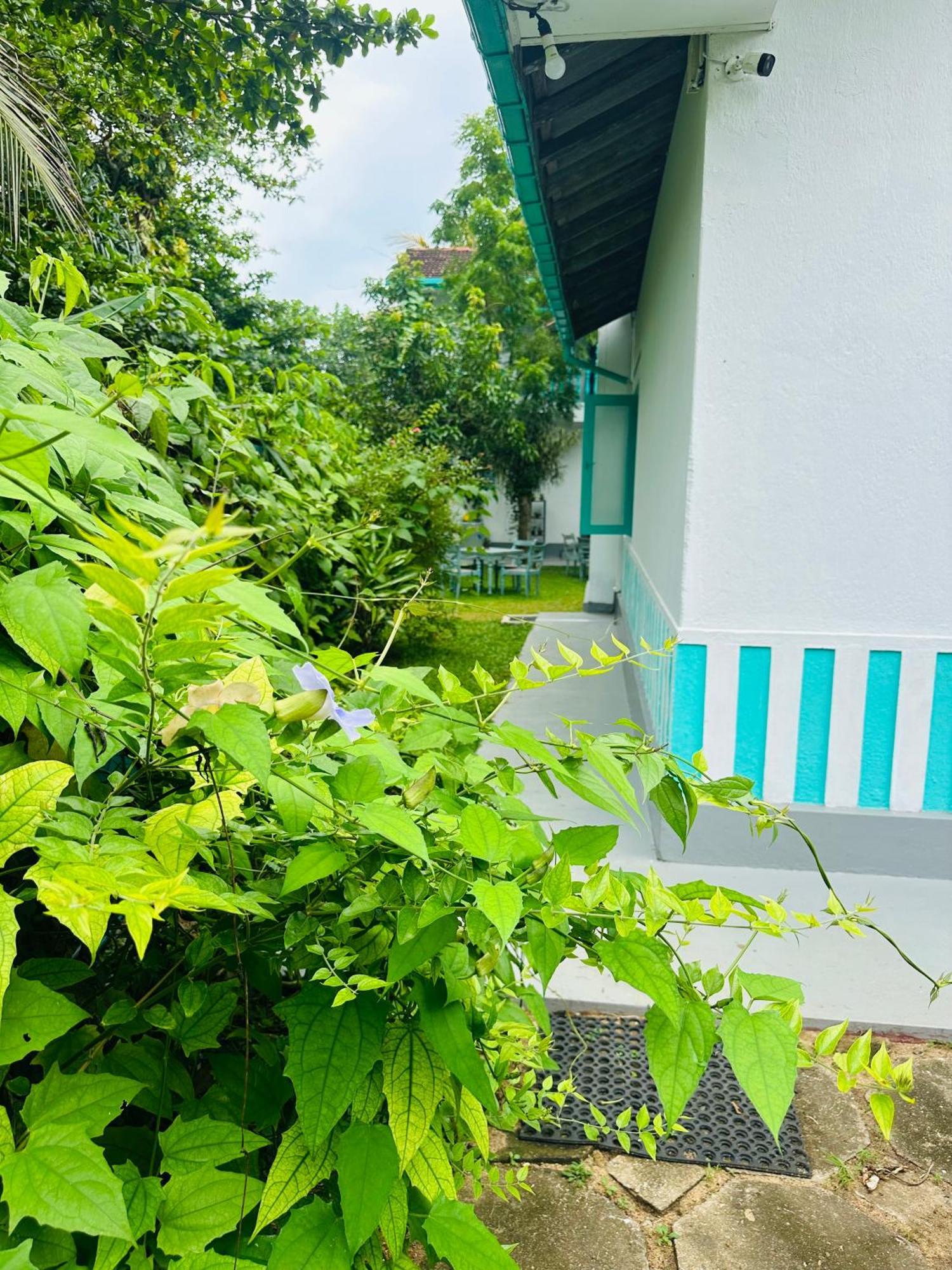 Villa 47 Hikkaduwa Exterior photo